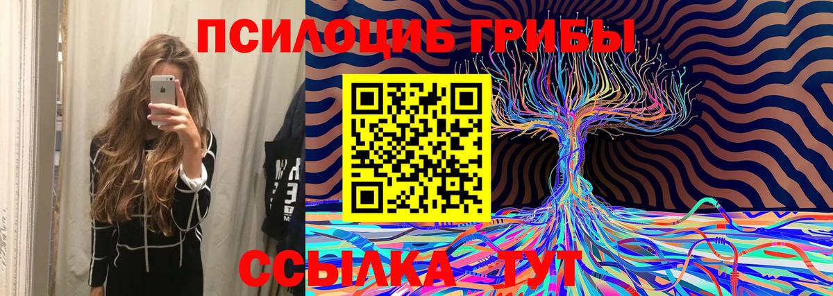 Галлюциногенные грибы MAGIC MUSHROOMS Скопин