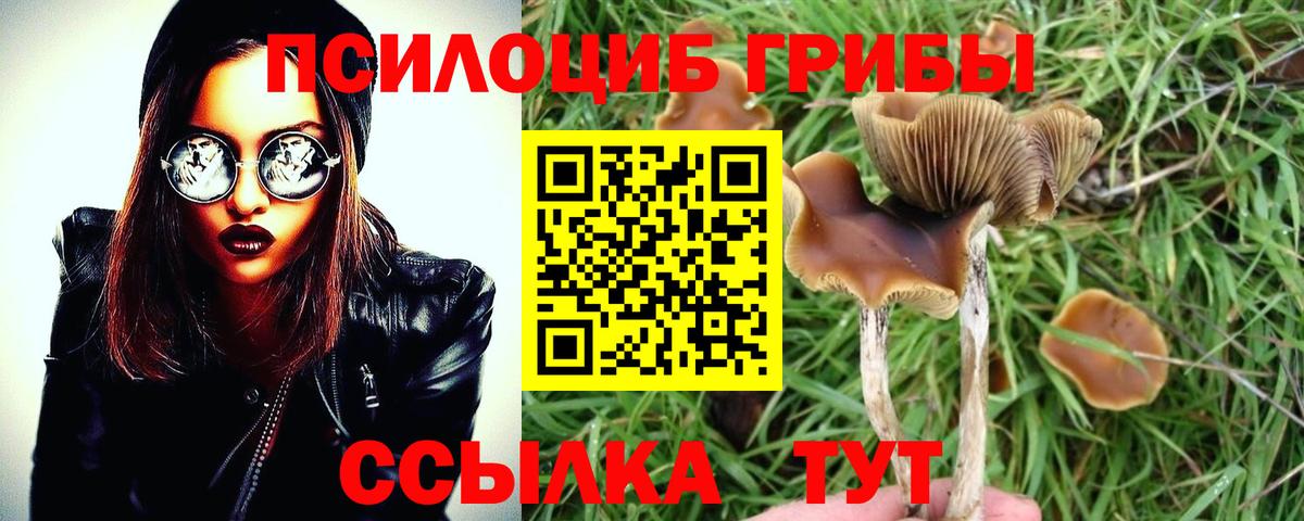 Галлюциногенные грибы GOLDEN TEACHER  Вход с VPN  Скопин 